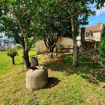 Cerquide3 Nyaraló *