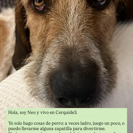 Cerquide3 Prázdninový dům