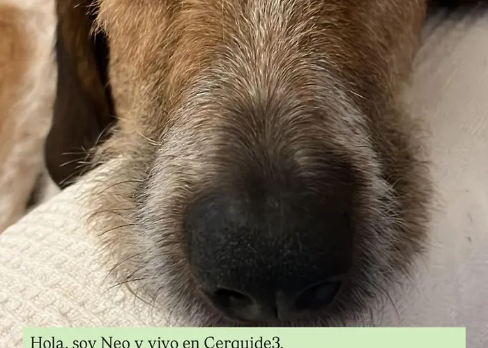 Cerquide3 Prázdninový dům